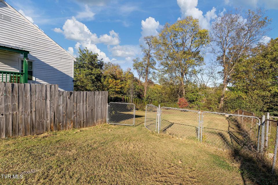 Photo #36: 811 Crescent Street