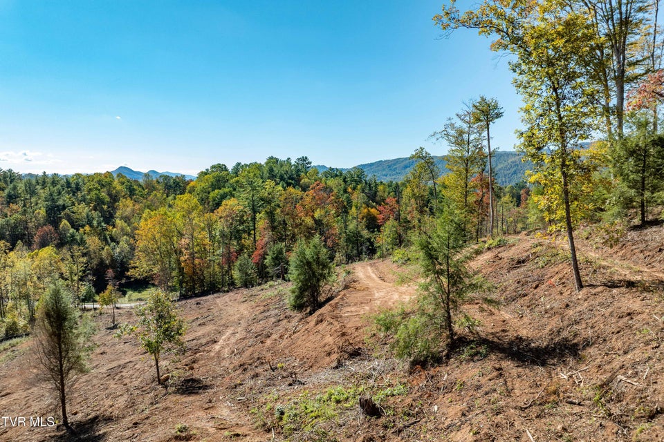 Photo #19: 000 Tbd Noah Snyder Road