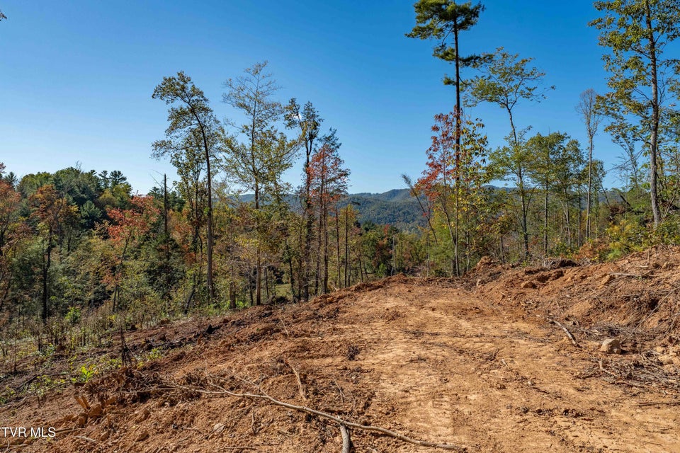 Photo #31: 000 Tbd Noah Snyder Road