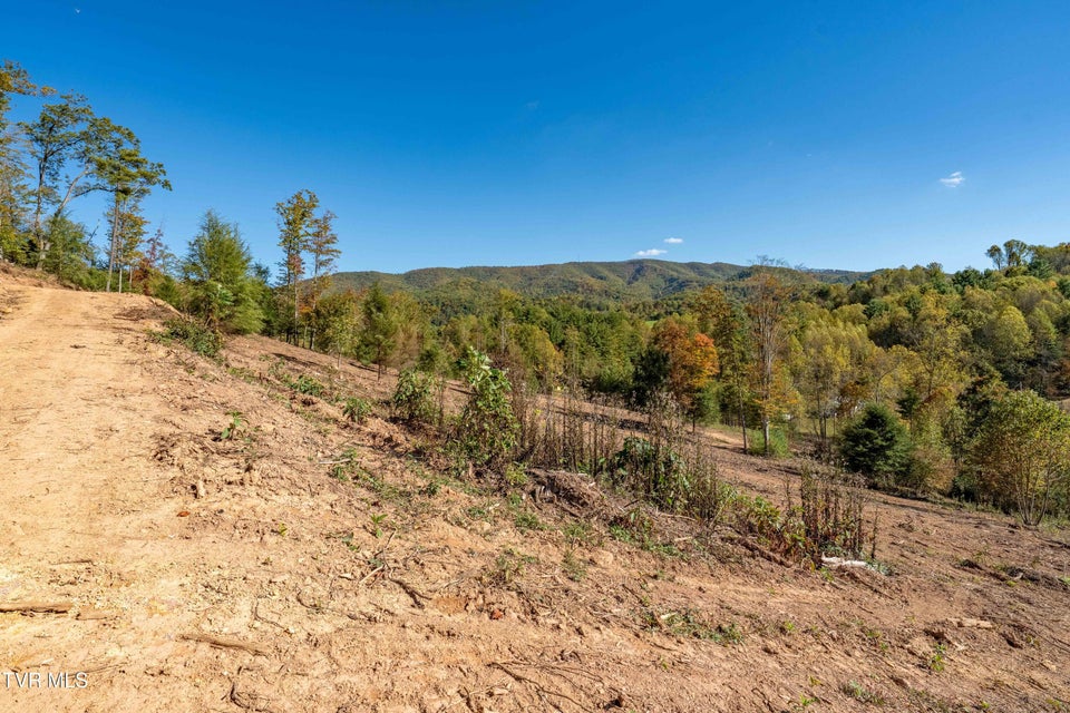 Photo #36: 000 Tbd Noah Snyder Road