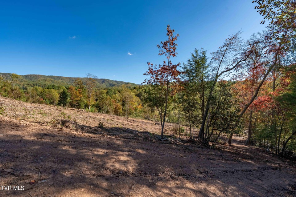 Photo #37: 000 Tbd Noah Snyder Road