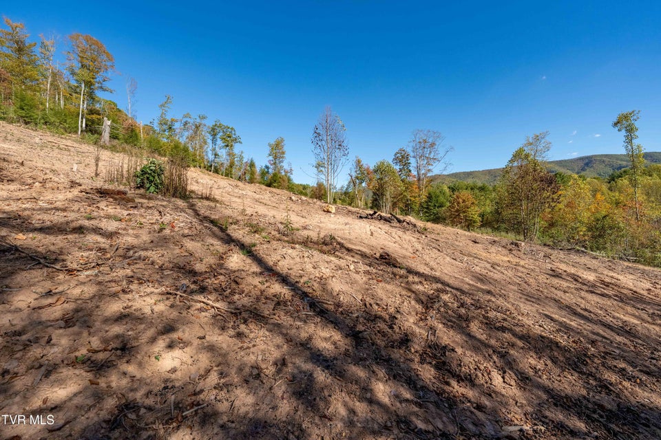 Photo #39: 000 Tbd Noah Snyder Road