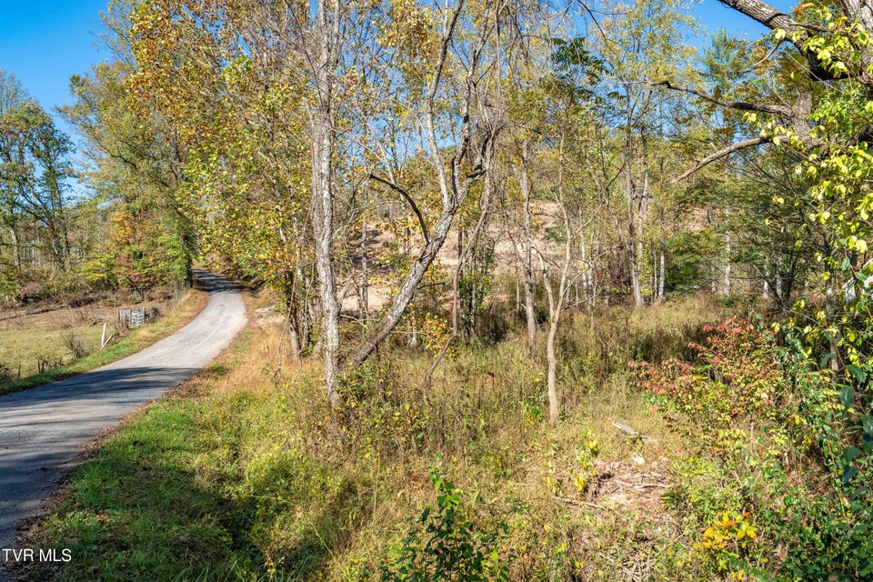 Photo #44: 000 Tbd Noah Snyder Road