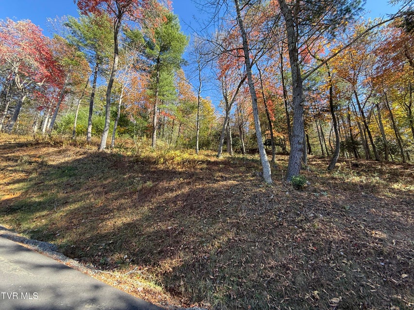 Photo #15: #26 Vineyard Valley Trail