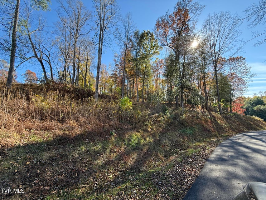 Photo #13: #26 Vineyard Valley Trail