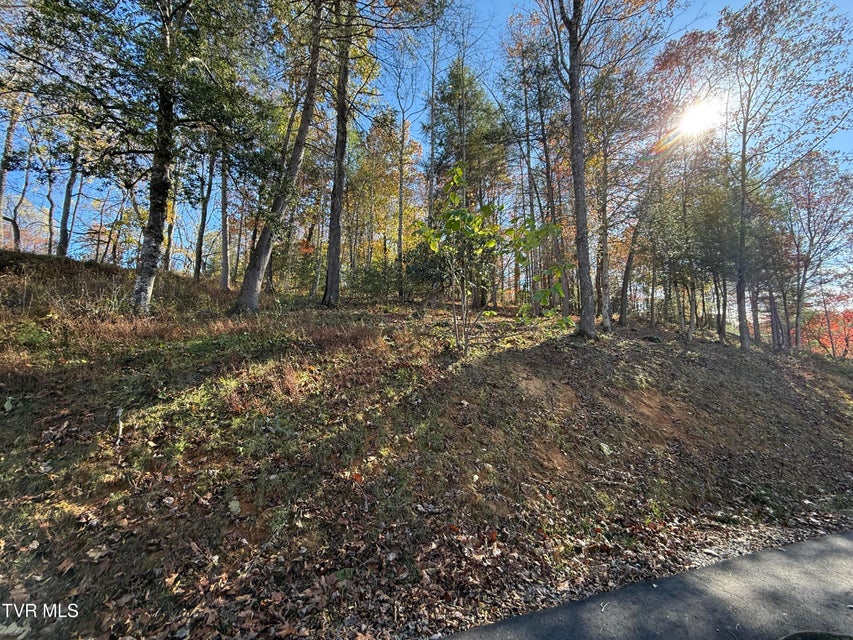 Photo #14: #26 Vineyard Valley Trail