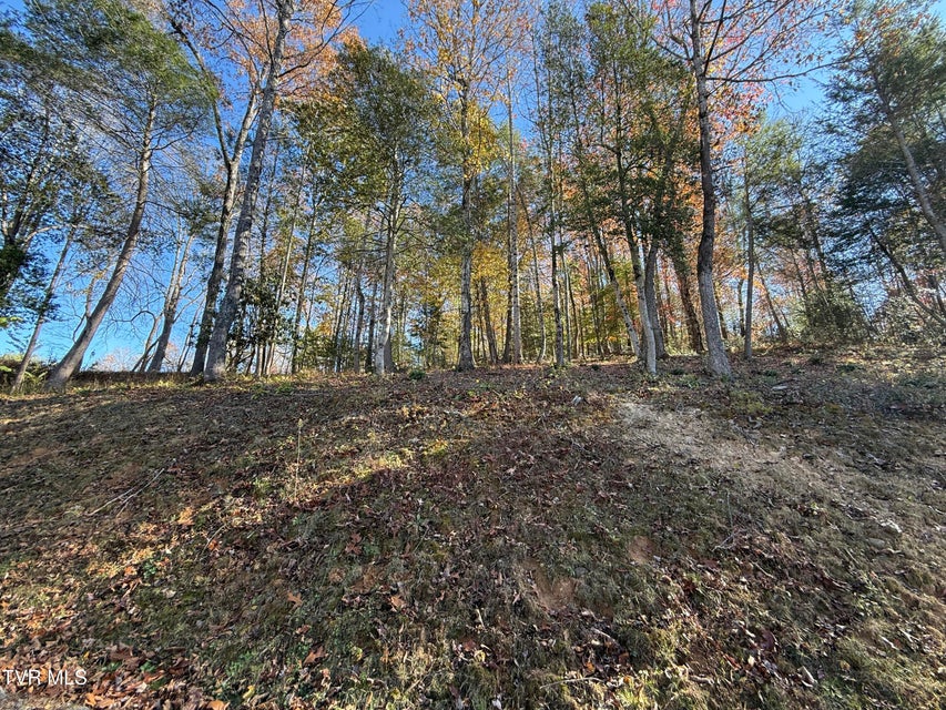 Photo #12: #26 Vineyard Valley Trail