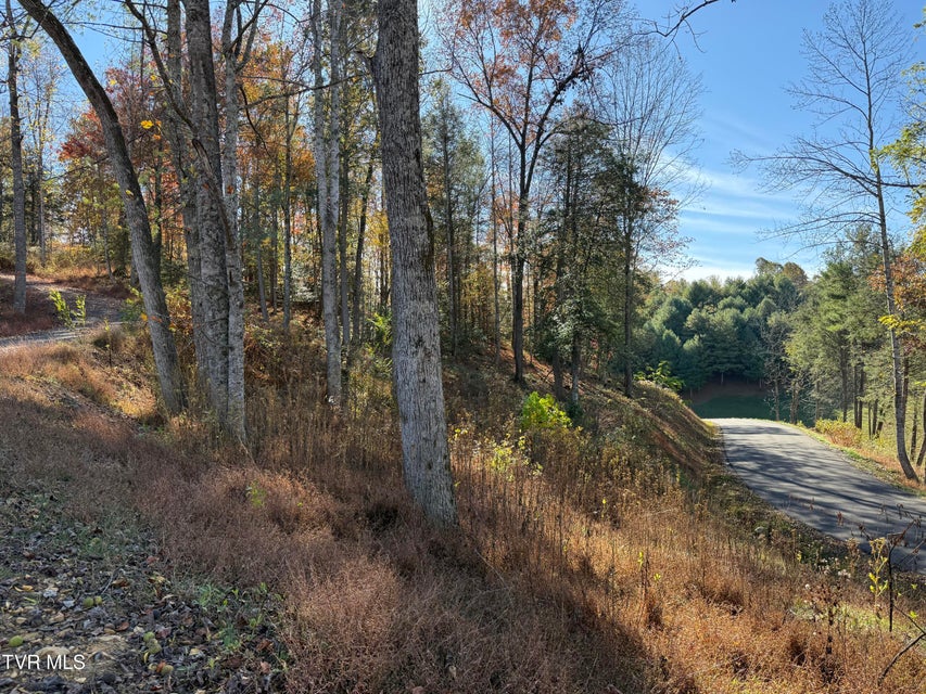 Photo #8: #26 Vineyard Valley Trail