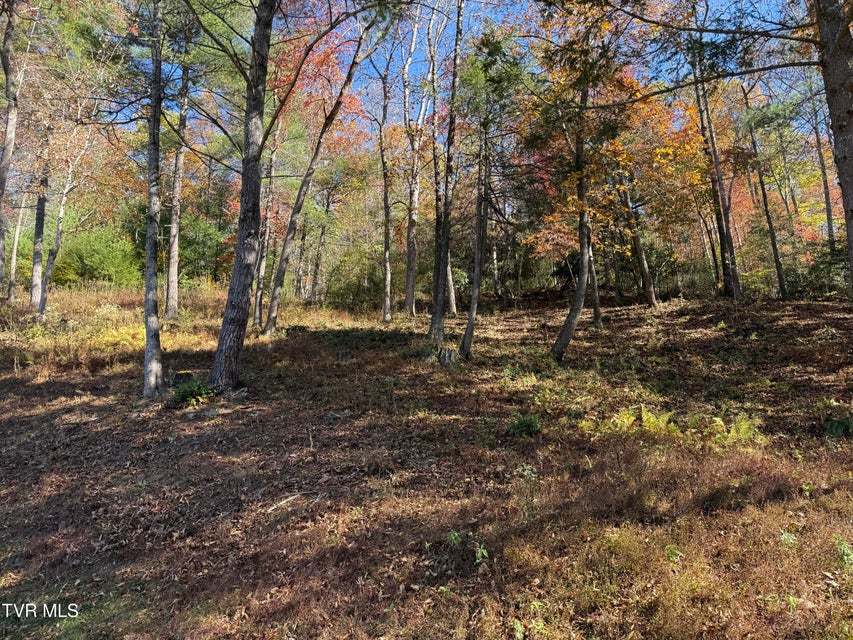 Photo #10: #26 Vineyard Valley Trail