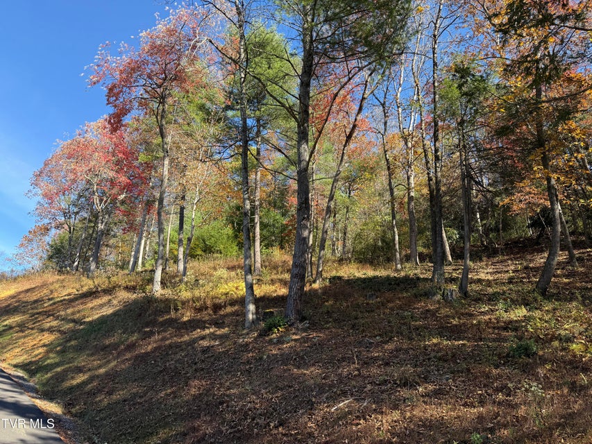 Photo #6: #26 Vineyard Valley Trail