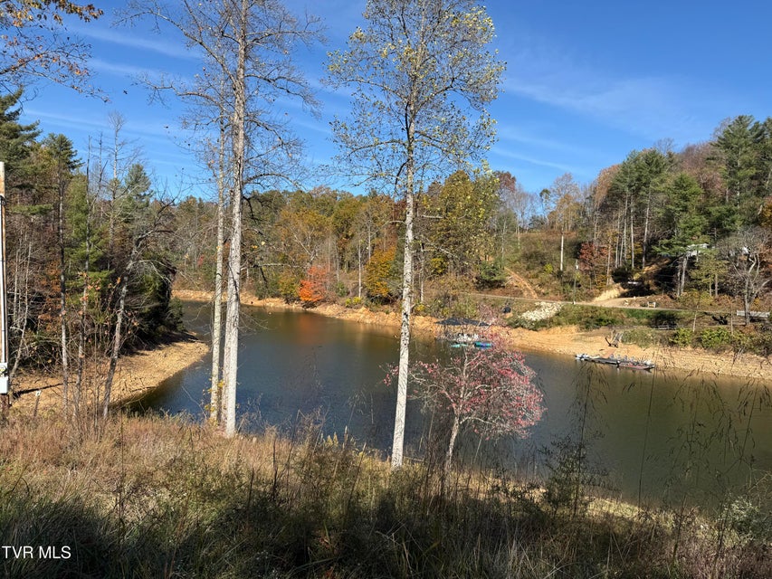 Photo #4: #26 Vineyard Valley Trail