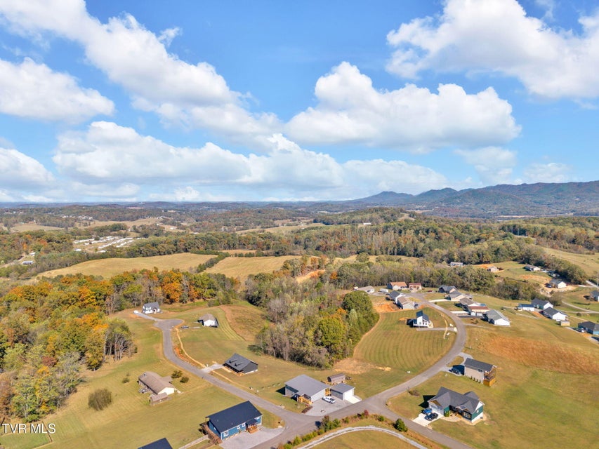 Photo #42: 4011 Neighborly Way