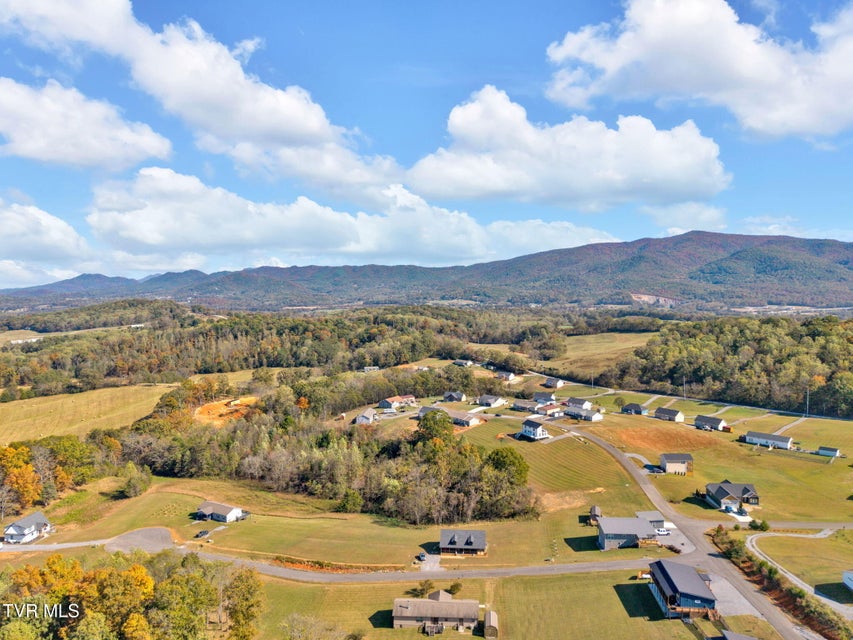 Photo #51: 4011 Neighborly Way