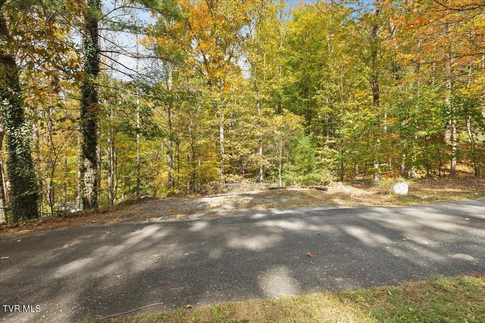 Photo #19: 133 Hickory Hollow Road