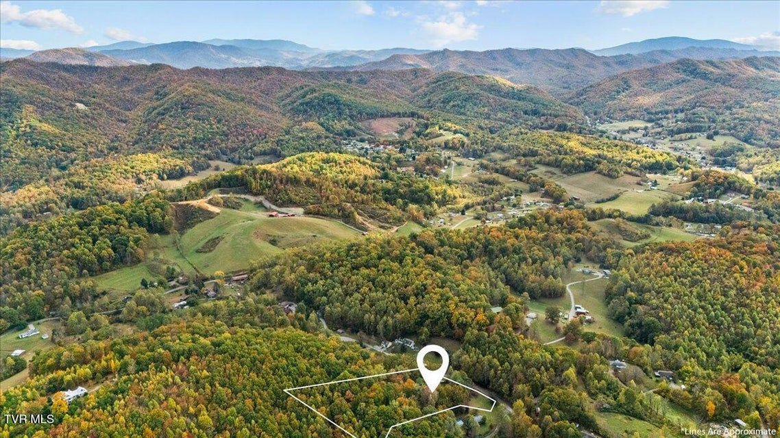 Photo #58: 133 Hickory Hollow Road