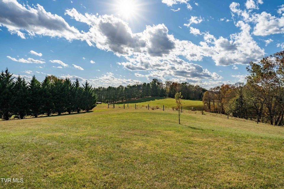 Photo #79: 386 Andy Cole Road