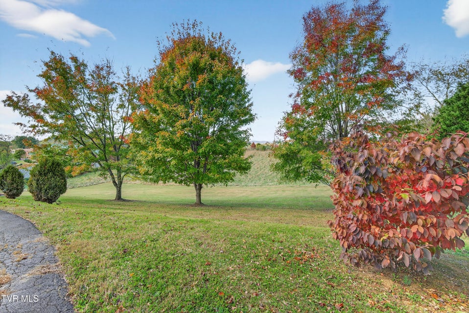 Photo #21: 625 Locust Street