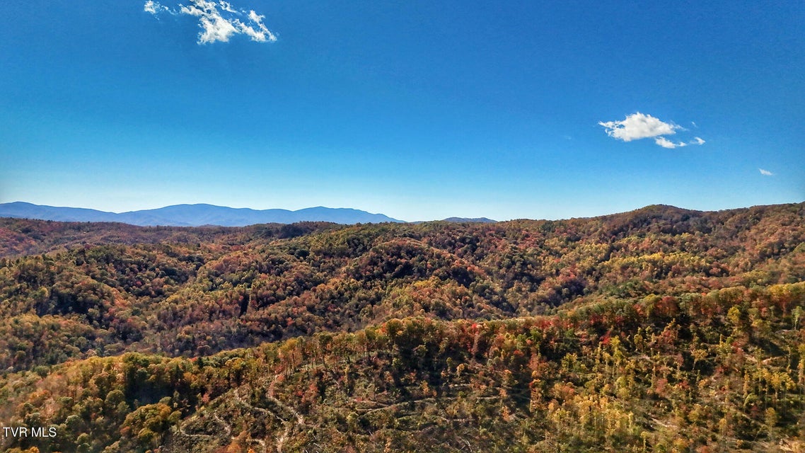 Photo #2: 1205 Mays Ridge Road