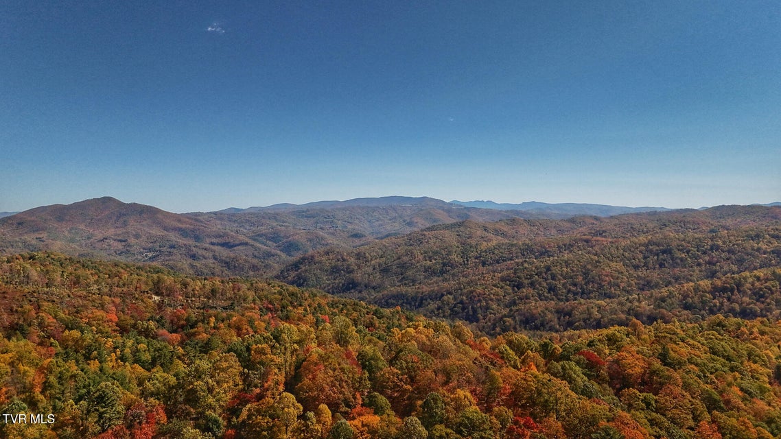 Photo #5: 1205 Mays Ridge Road