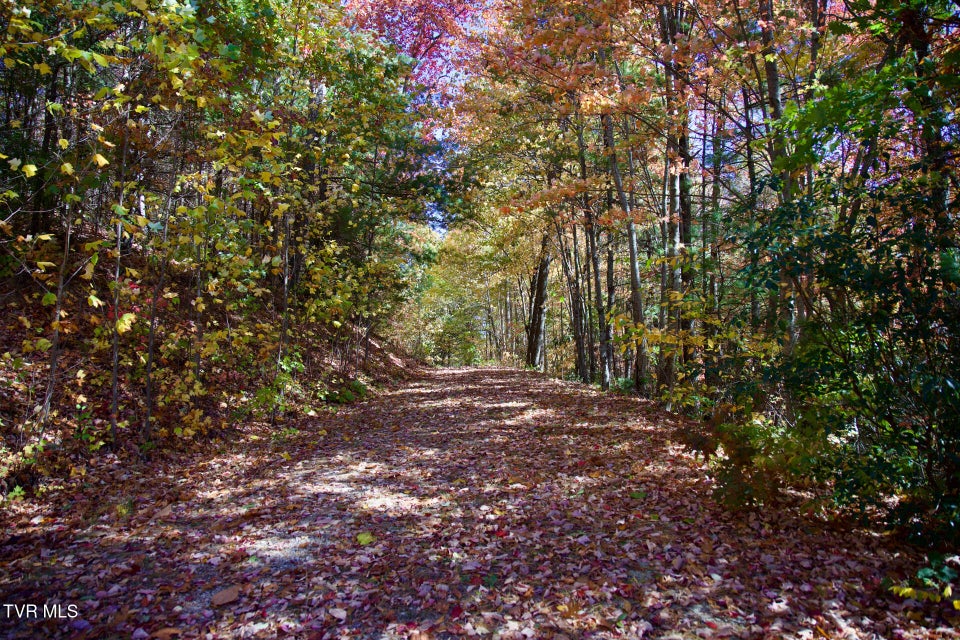 Photo #6: 1205 Mays Ridge Road