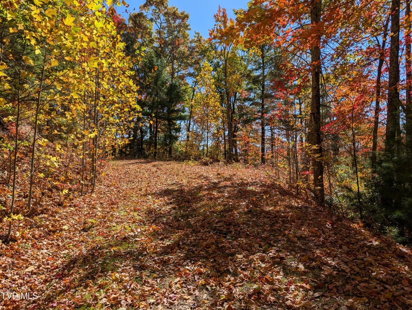 Photo #7: 1205 Mays Ridge Road