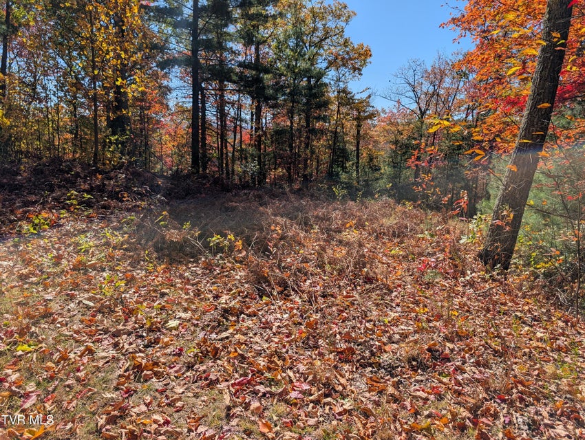 Photo #8: 1205 Mays Ridge Road