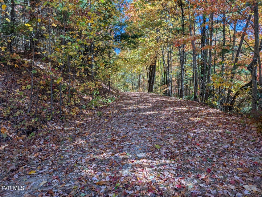 Photo #10: 1205 Mays Ridge Road