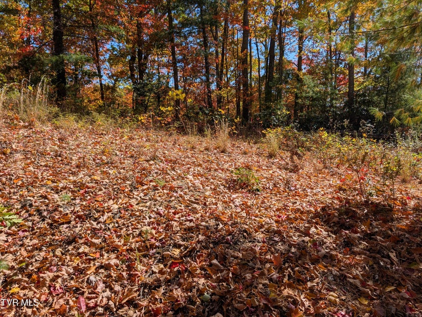 Photo #11: 1205 Mays Ridge Road