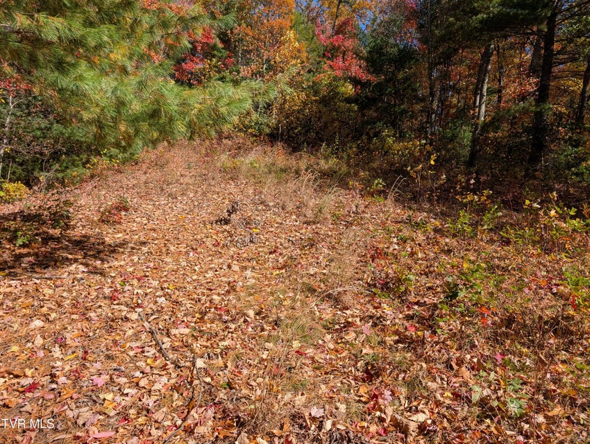 Photo #13: 1205 Mays Ridge Road