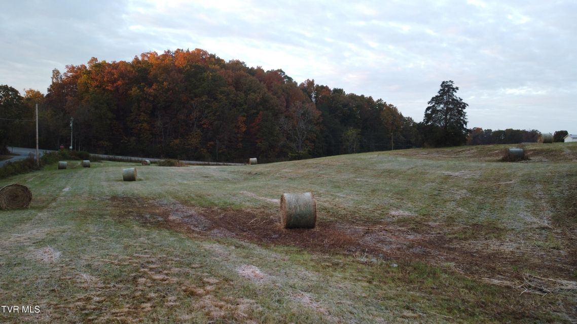 Photo #57: 4356 Blue Springs Parkway