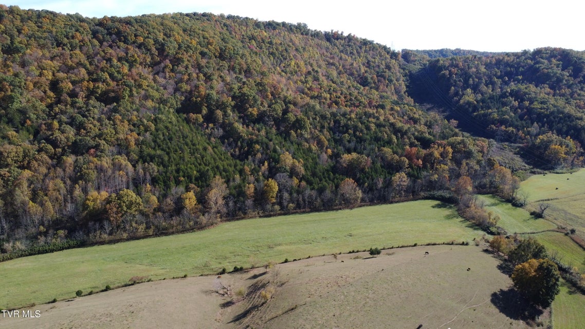 Photo #68: 1183 Webster Valley Road