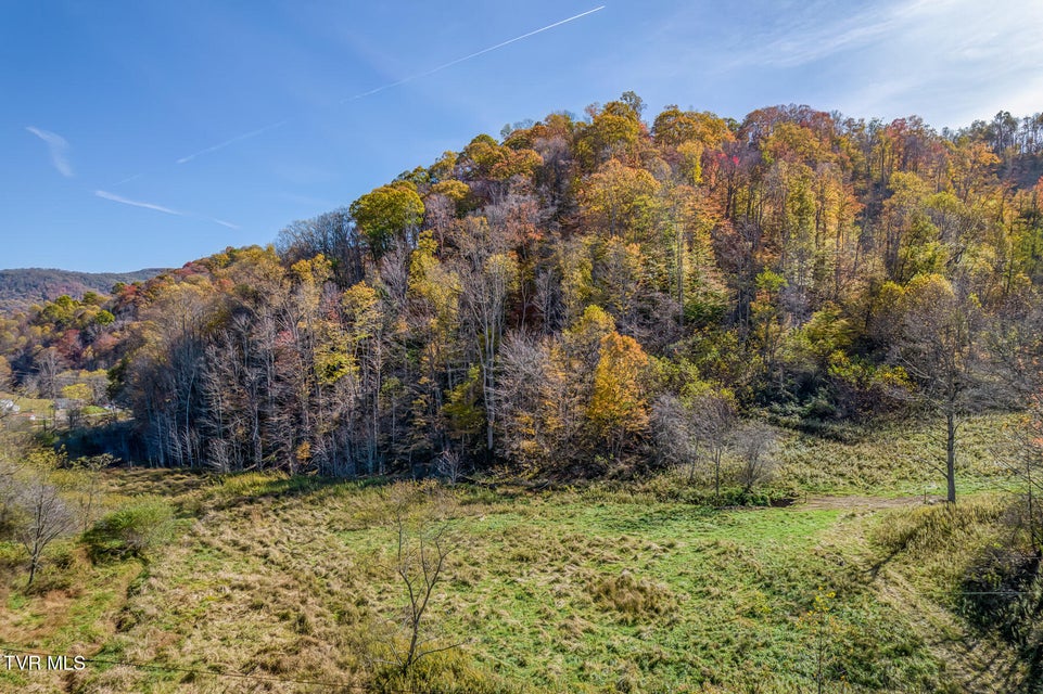 Photo #43: Tbd Miller Lane