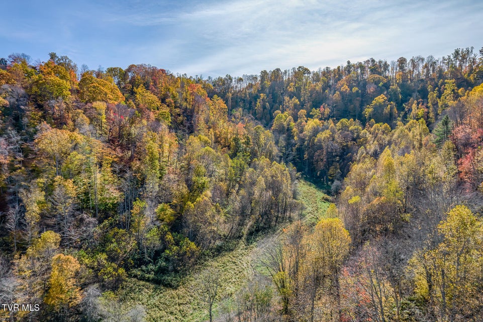 Photo #48: Tbd Miller Lane