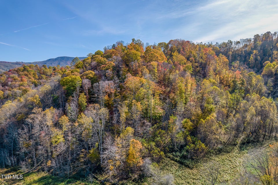 Photo #49: Tbd Miller Lane