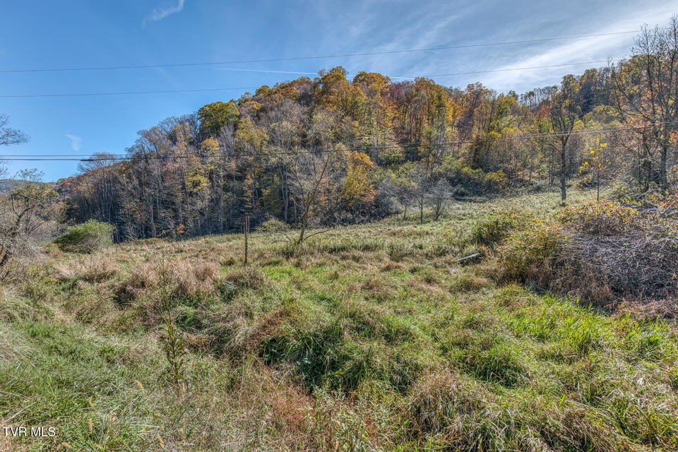 Photo #50: Tbd Miller Lane