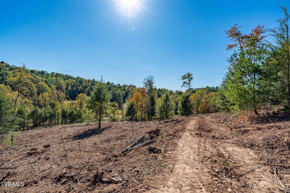 Photo #3: Tbd 000 Dug Hill Road