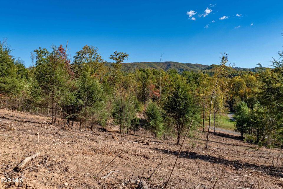 Photo #6: Tbd 000 Dug Hill Road