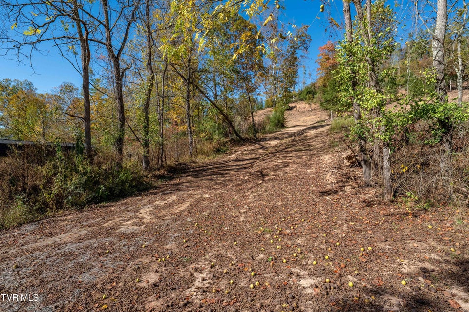 Photo #11: Tbd 000 Dug Hill Road