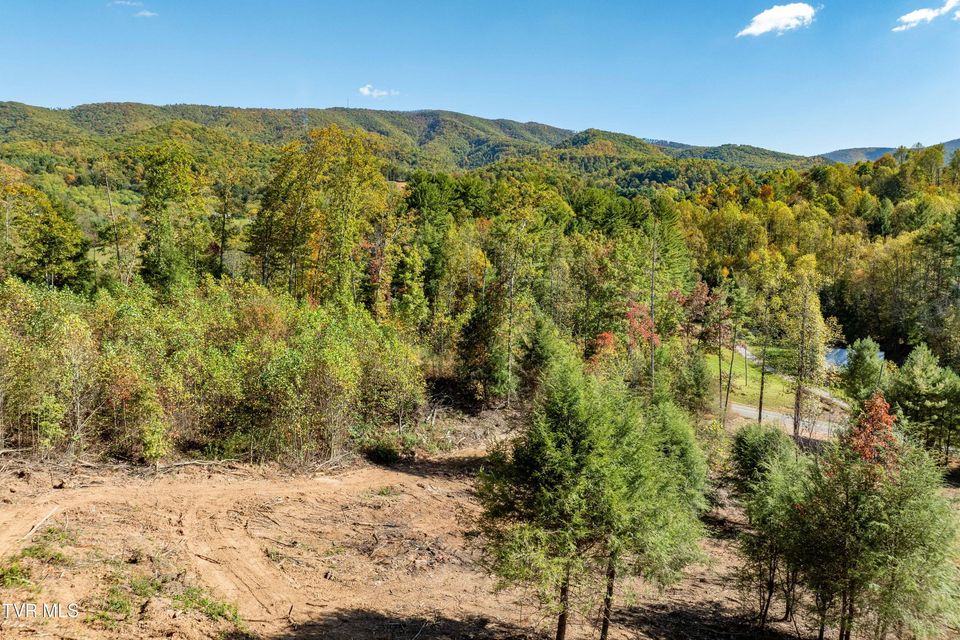 Photo #18: Tbd 000 Dug Hill Road