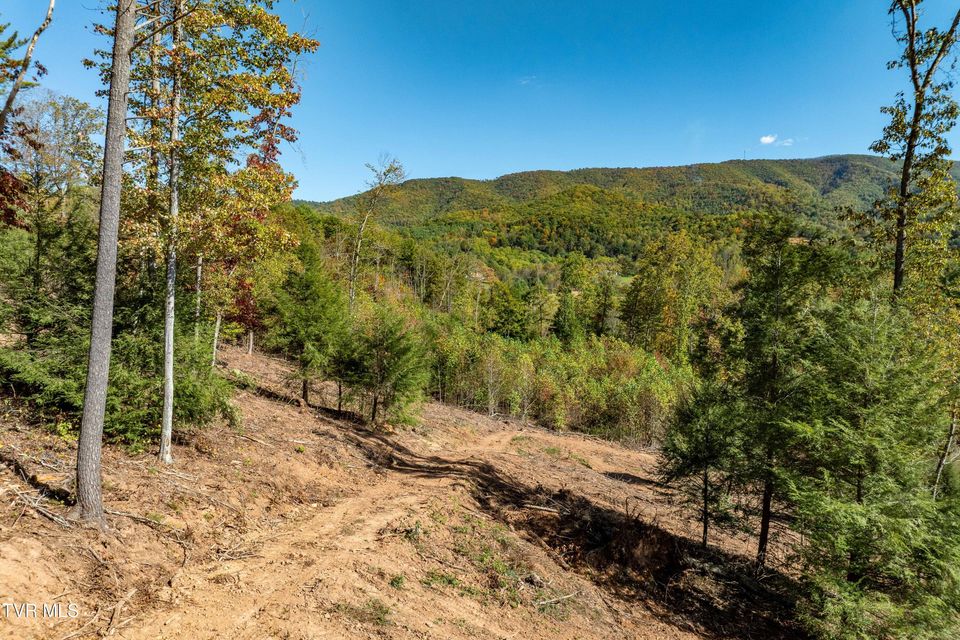 Photo #21: Tbd 000 Dug Hill Road