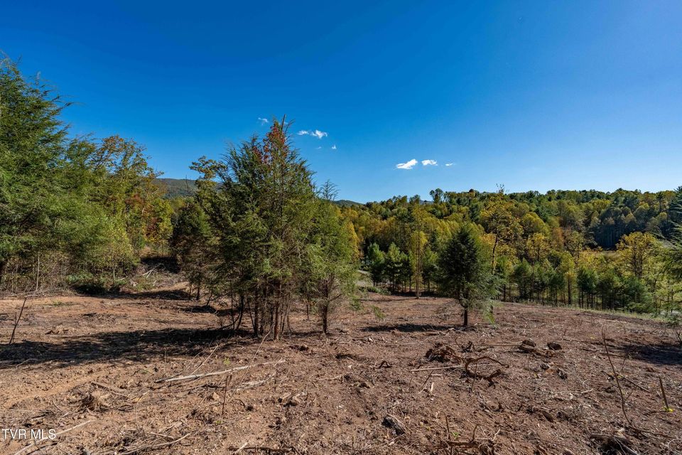 Photo #24: Tbd 000 Dug Hill Road