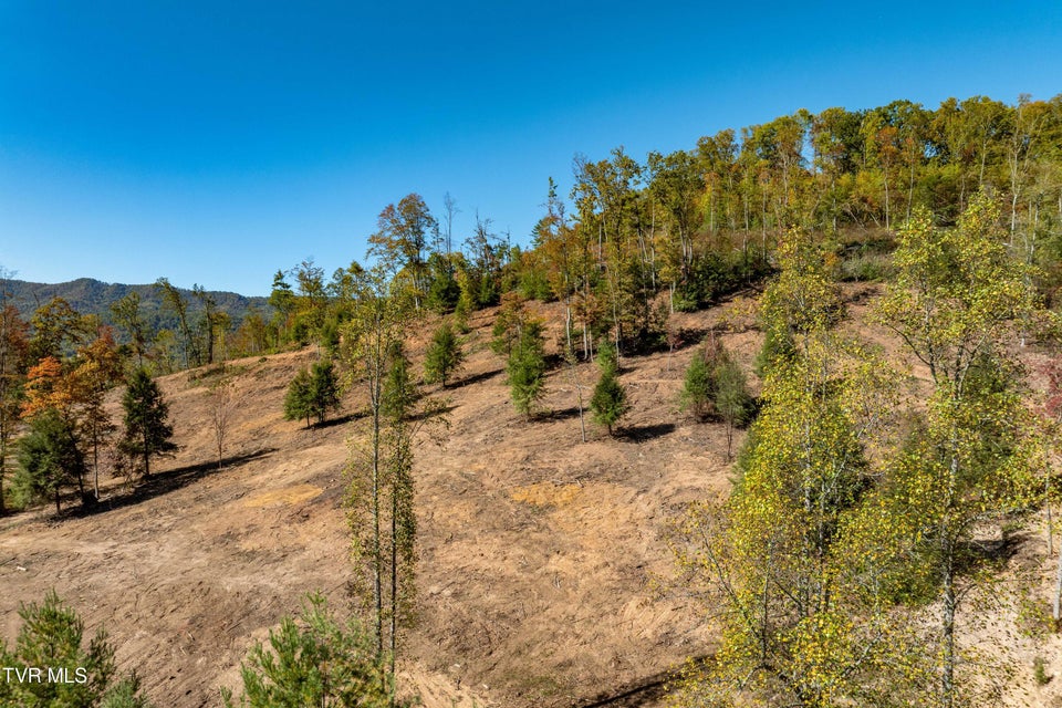 Photo #25: Tbd 000 Dug Hill Road