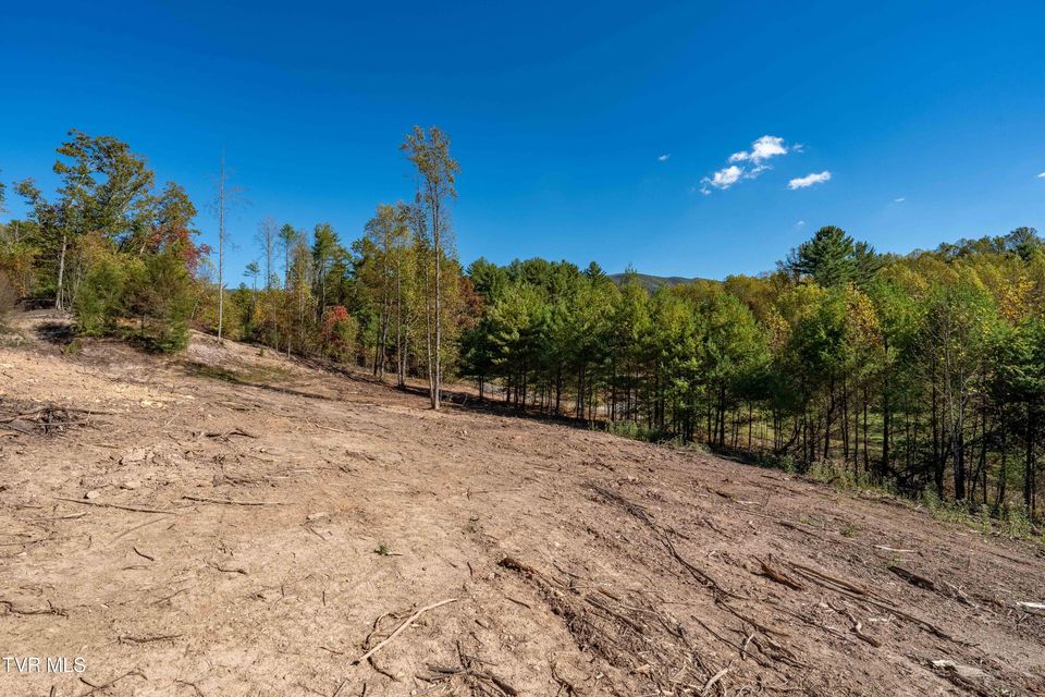 Photo #29: Tbd 000 Dug Hill Road