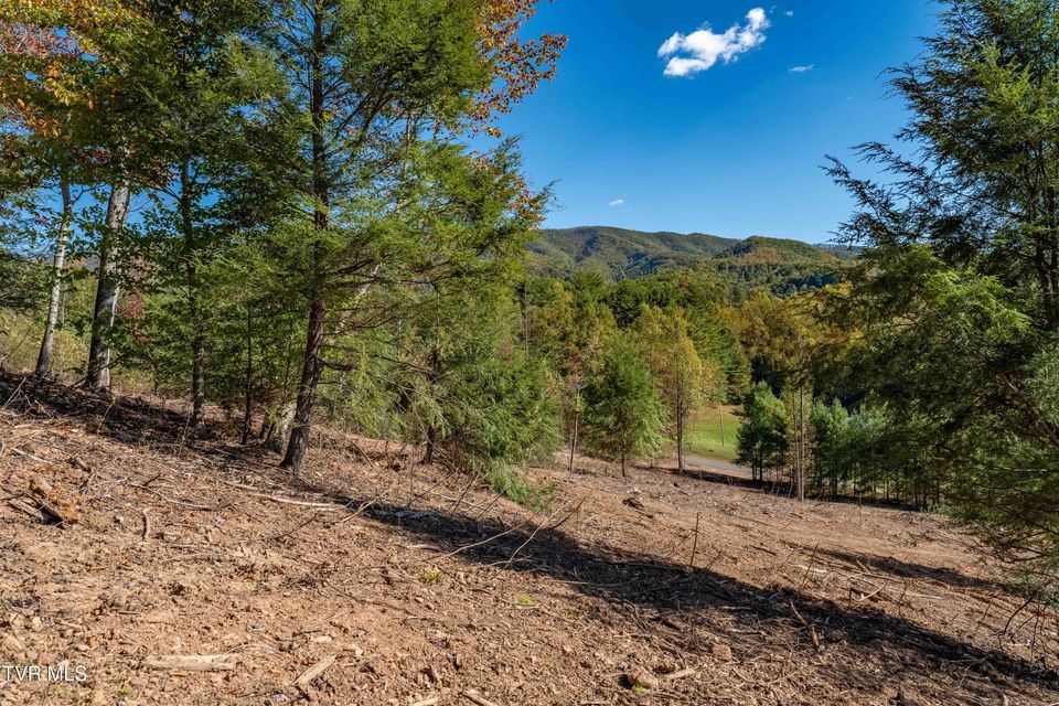 Photo #31: Tbd 000 Dug Hill Road