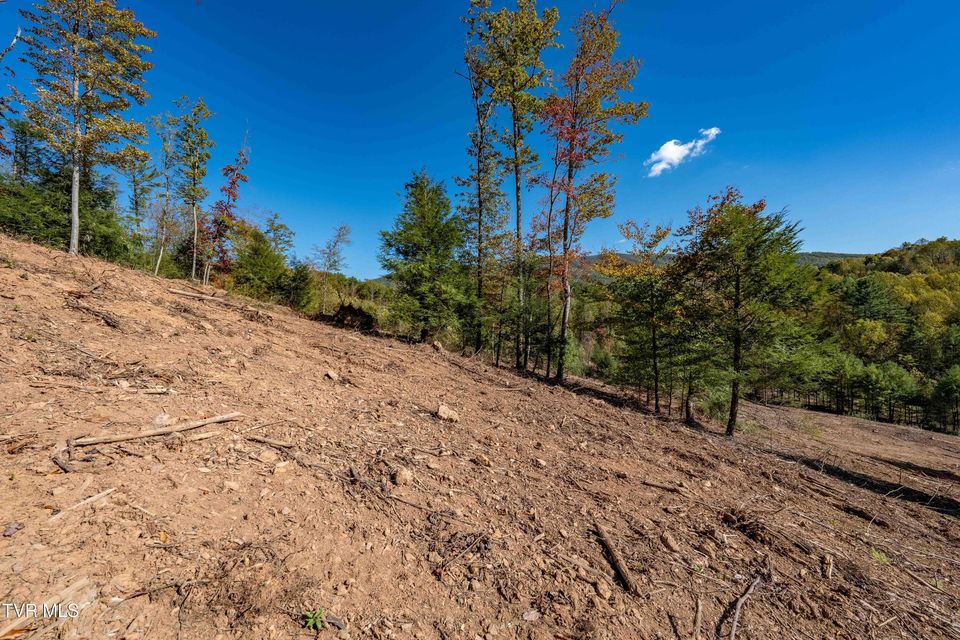 Photo #36: Tbd 000 Dug Hill Road