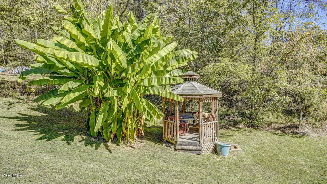 Photo #34: 2388 Ruritan Run Road