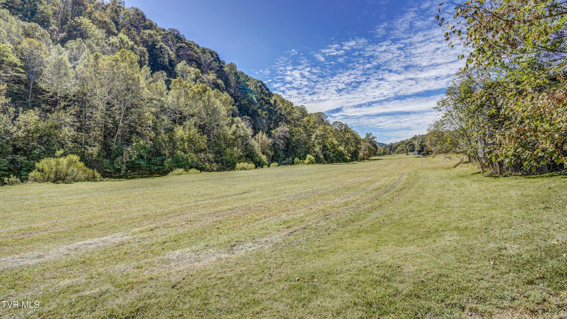 Photo #42: 2388 Ruritan Run Road