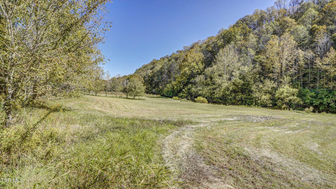 Photo #43: 2388 Ruritan Run Road