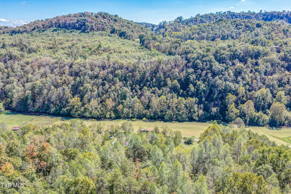 Photo #51: 2388 Ruritan Run Road