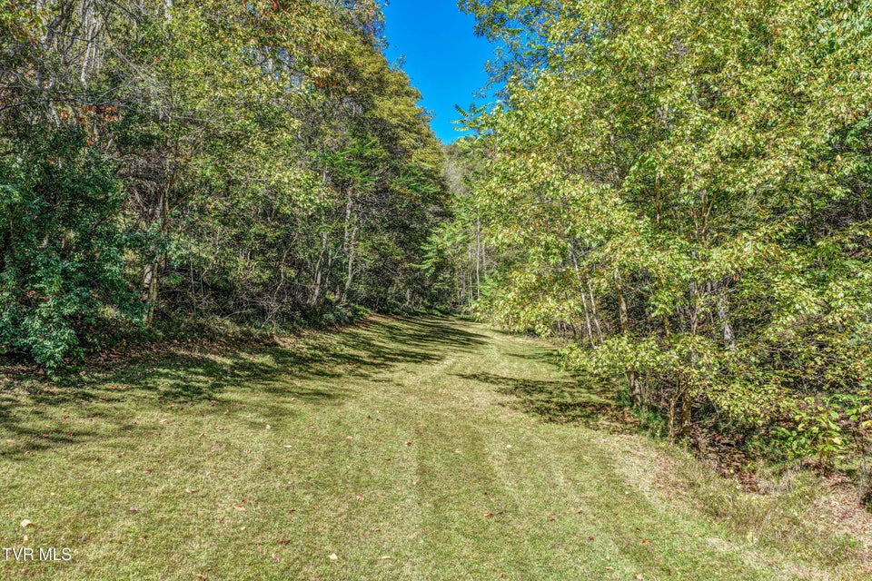 Photo #64: 2388 Ruritan Run Road